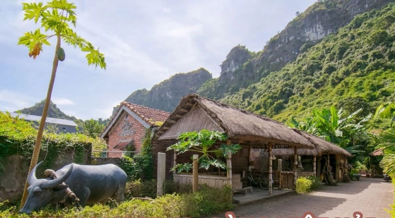 Trải nghiệm không gian trong lành và yên bình tại homestay