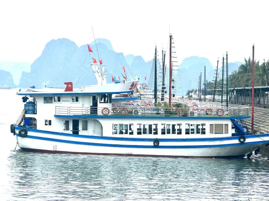 Tàu thăm vịnh 48 chỗ