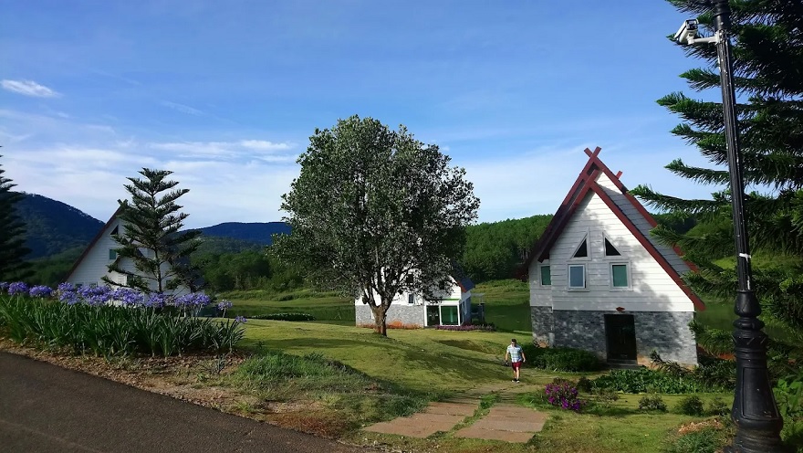 Lavender Glamping & Resort