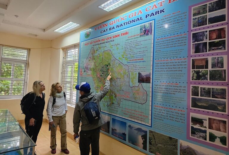 Tour trekking Vườn Quốc Gia Cát Bà nửa ngày