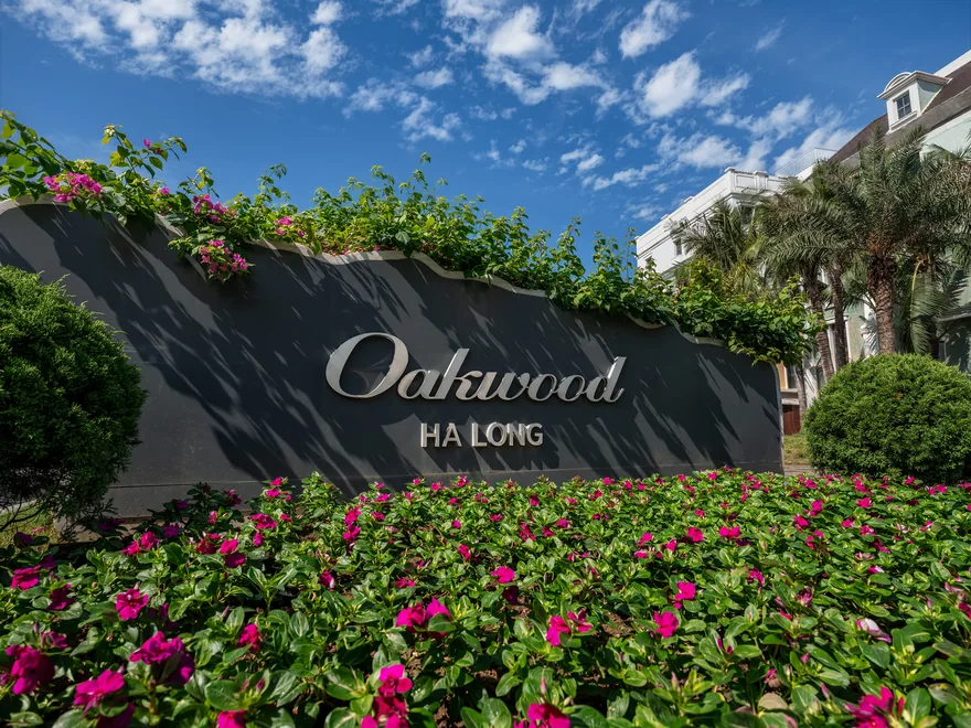 Quần thể biệt thự nghỉ dưỡng sang trọng tại Oakwood Hạ Long ẩn mình giữa những rặng dừa xanh mướt bên bờ vịnh kỳ quan di sản.