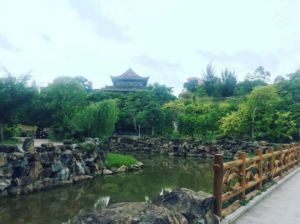 Lối đi dạo rợp bóng cây xanh thanh bình tại Công viên Hữu Nghị Việt Trung Đông Hưng