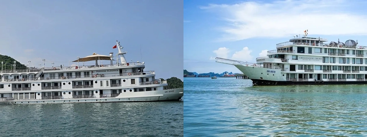 Du thuyền 5 sao Paradise Elegance Cruise (trái) và Ambassador Cruise I (phải)