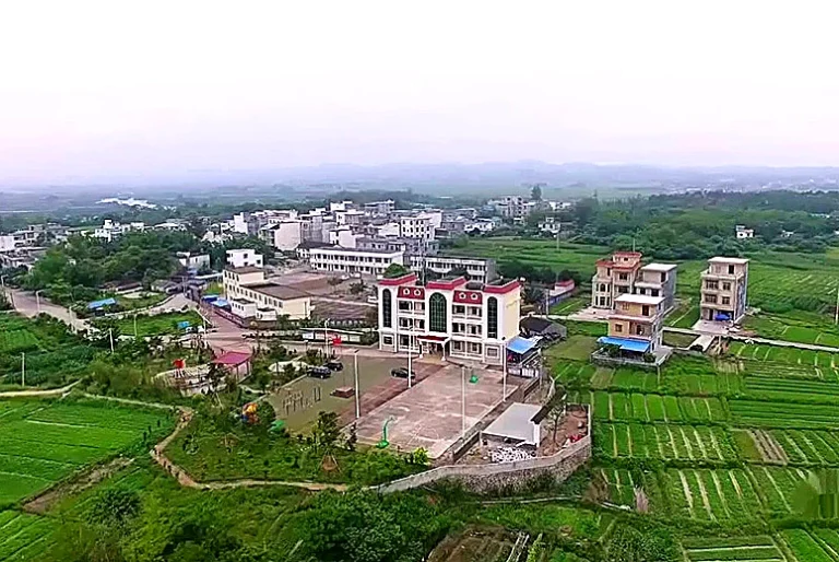 Cẩm Nang Khám Phá Làng Cổ Trúc Sơn Đông Hưng: Dấu Ấn Biên Cương Nơi Đất Liền Chạm Sóng Biển